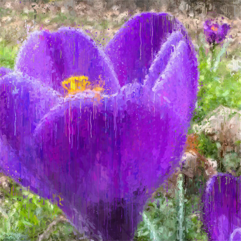 Impressionist nature