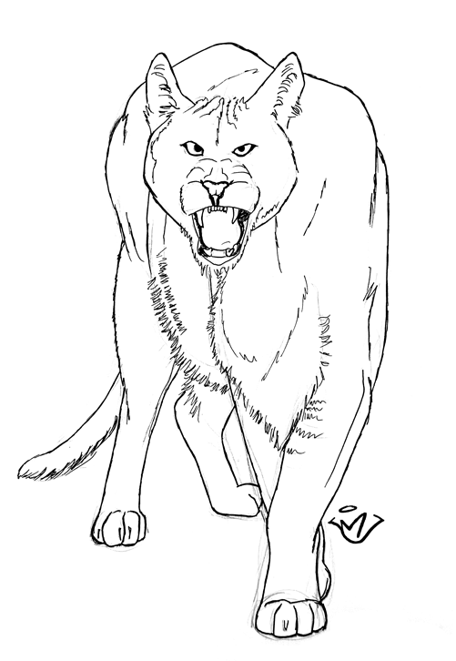 Fierce - pen and ink drawing