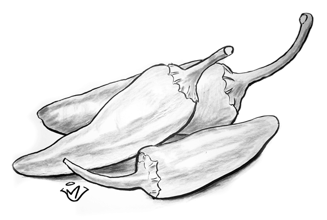 Spicy - pen and ink drawing