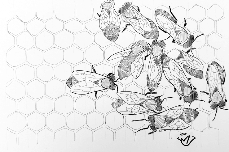 Teeming - pen and ink drawing