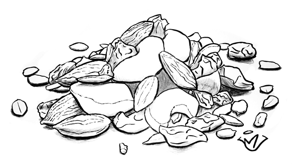 Trail - pen and ink drawing