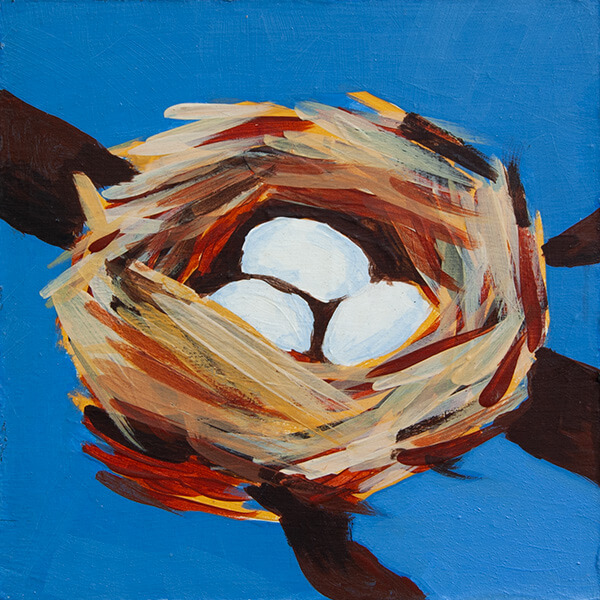 Birds Nest